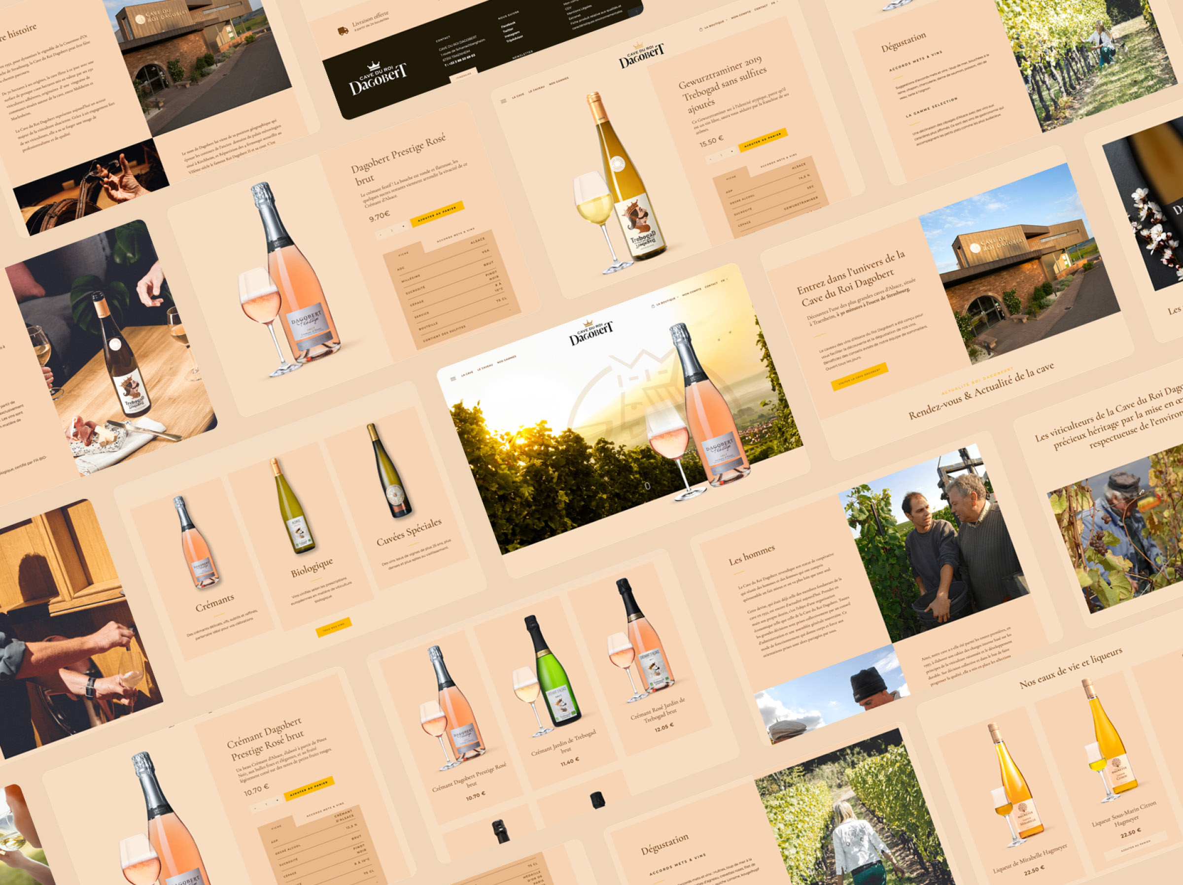 Site web e-commerce CMS WooCommerce pour Cave Dagobert